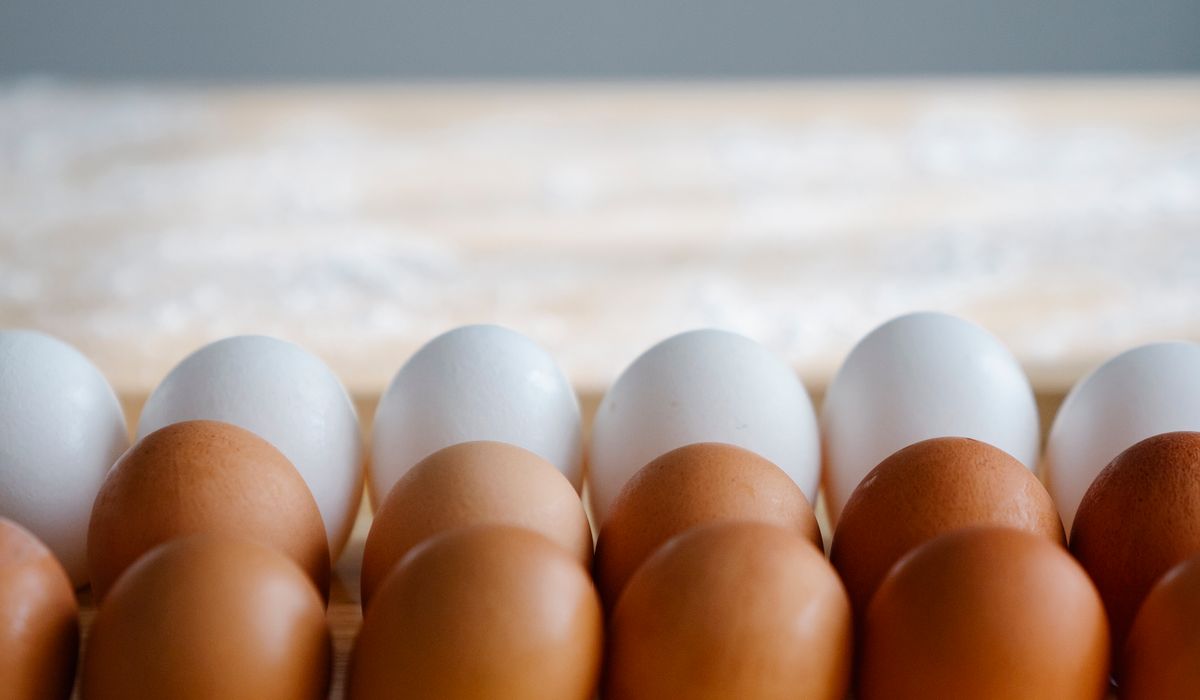 Building a Dust Bath for Healthy Hens